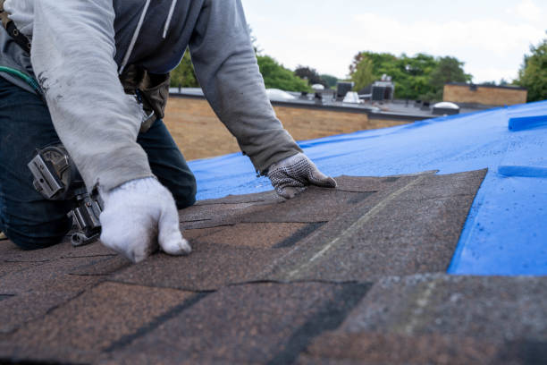 Roof Repair Estimates in Stamps, AR